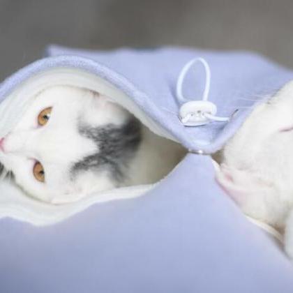 Kawaii Clothing Cute Cat Ears Pocke..
